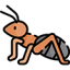 Ant-Control