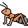Ant-Control