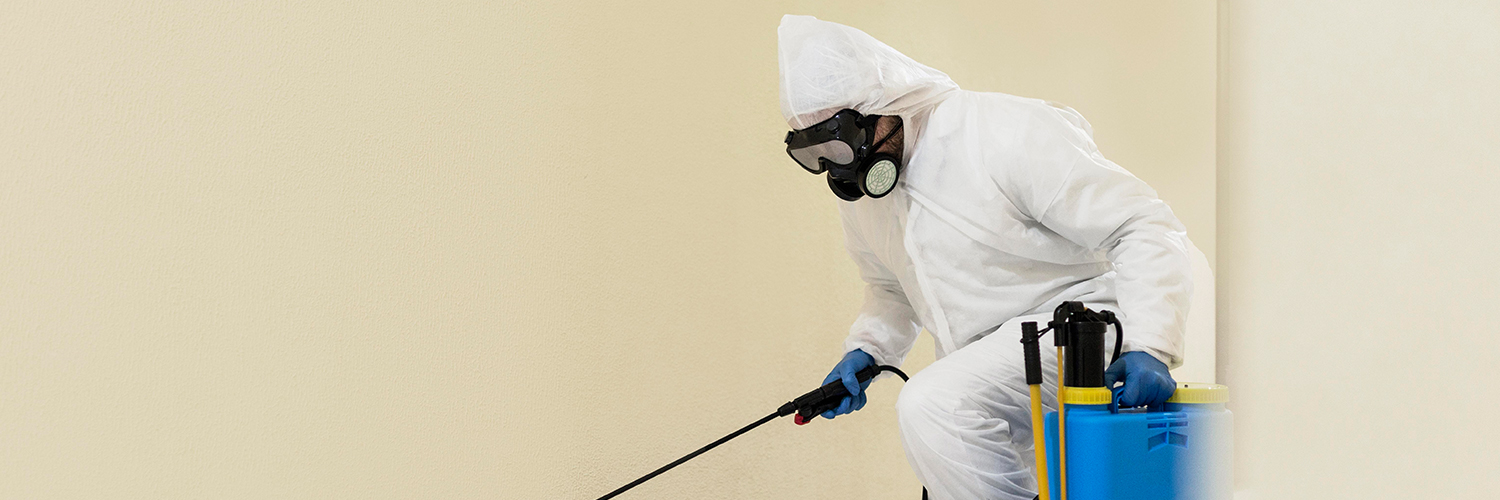 Anti-Termite-Control-Services