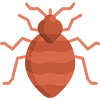 Bed-Bug-Control