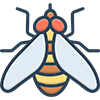 Housefly-Control
