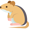 Rodent-Control