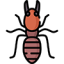 Termite-Treatment