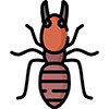 Termite-Treatment